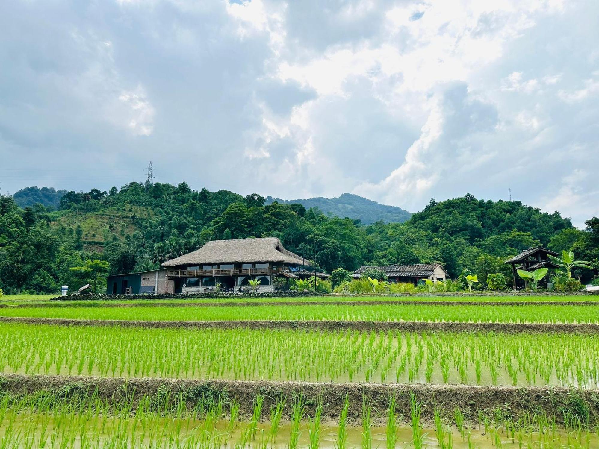 Ban Bang Ecolodge Tours & Motorbike Rental 河江 外观 照片